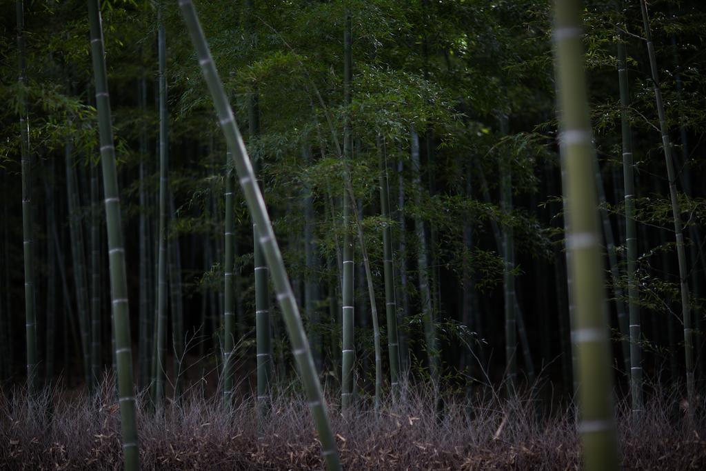 Kyoto Fushimi Ohana Muko Eksteriør bilde