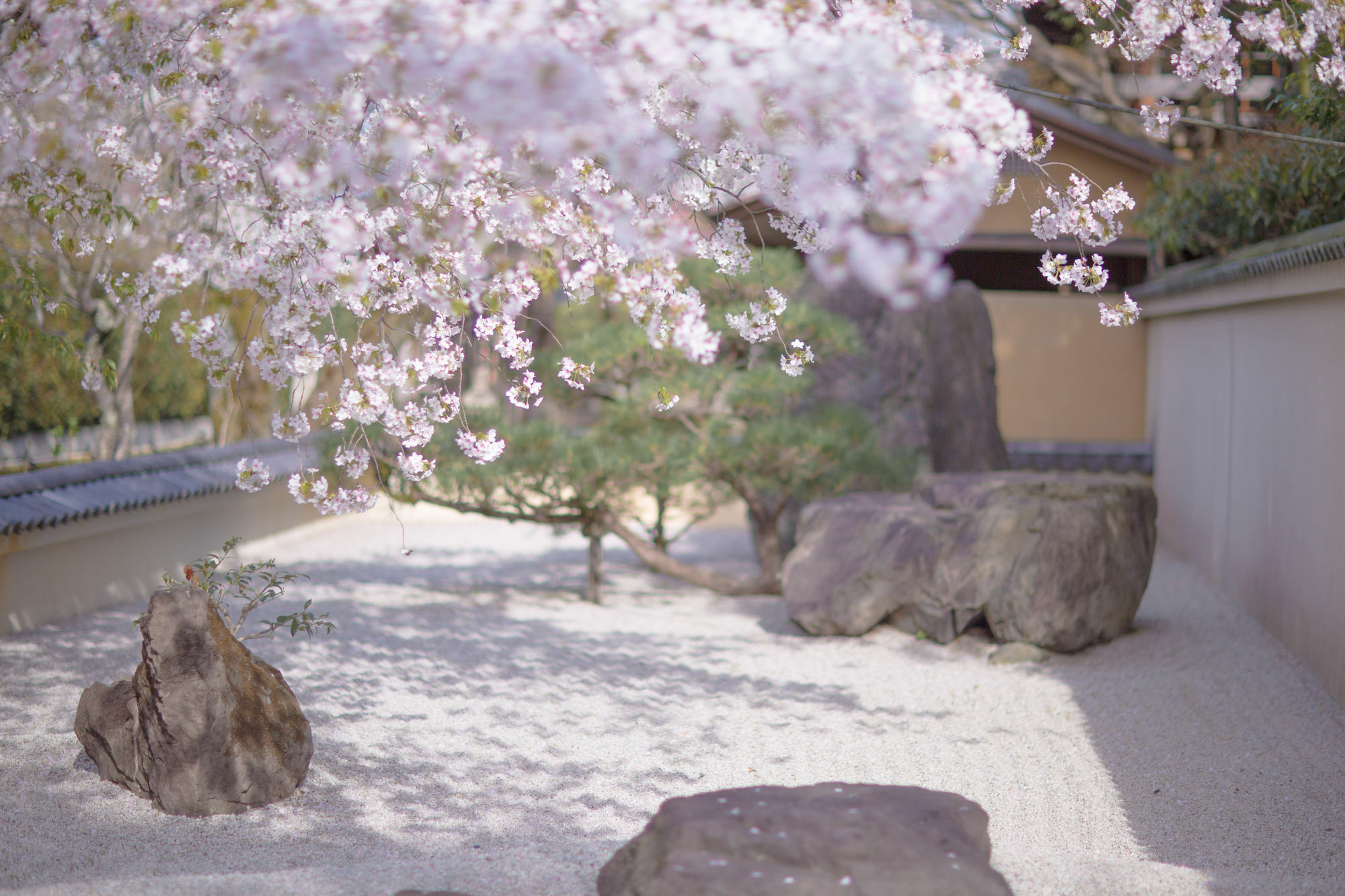 Kyoto Fushimi Ohana Muko Eksteriør bilde